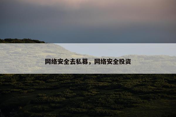 网络安全去私募，网络安全投资
