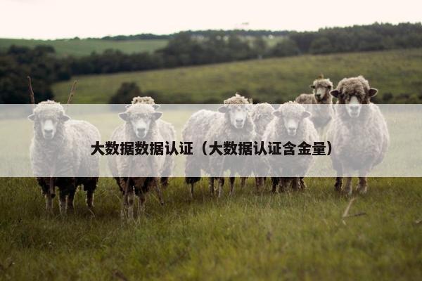 大数据数据认证（大数据认证含金量）