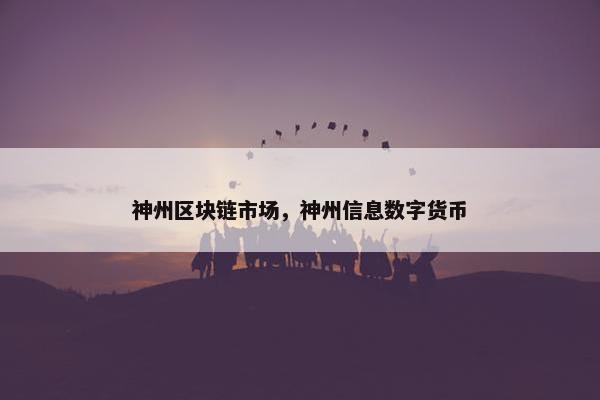 神州区块链市场，神州信息数字货币