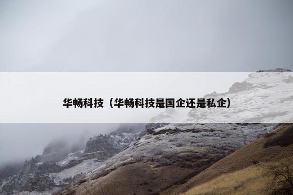 华畅科技（华畅科技是国企还是私企）