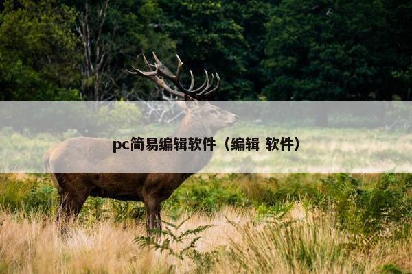 pc简易编辑软件（编辑 软件）