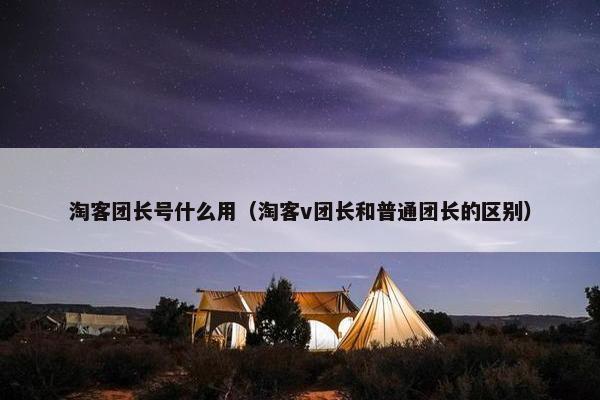 淘客团长号什么用（淘客v团长和普通团长的区别）