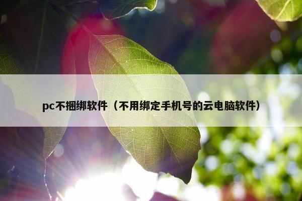 pc不捆绑软件（不用绑定手机号的云电脑软件）