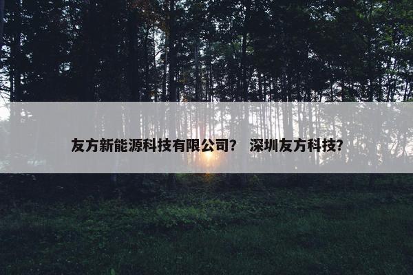 友方新能源科技有限公司？ 深圳友方科技？