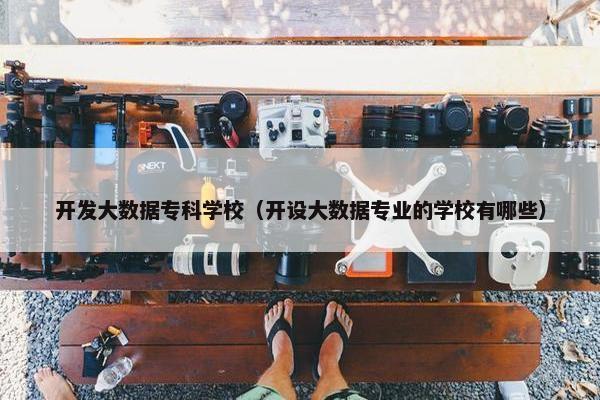 开发大数据专科学校（开设大数据专业的学校有哪些）
