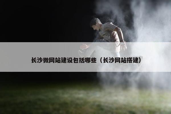 长沙微网站建设包括哪些（长沙网站搭建）