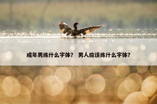 成年男练什么字体？ 男人应该练什么字体？