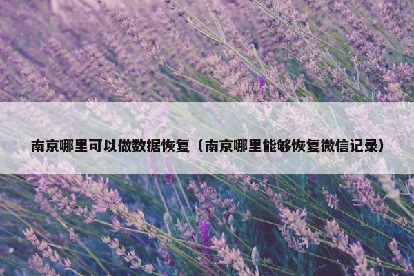 南京哪里可以做数据恢复（南京哪里能够恢复微信记录）