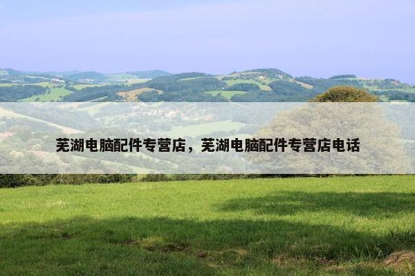 芜湖电脑配件专营店,芜湖电脑配件专营店电话 芜湖电脑配件专营店,芜湖电脑配件专营店电话