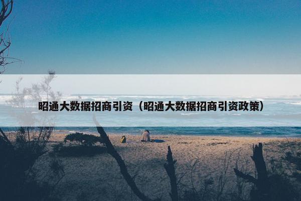 昭通大数据招商引资（昭通大数据招商引资政策）