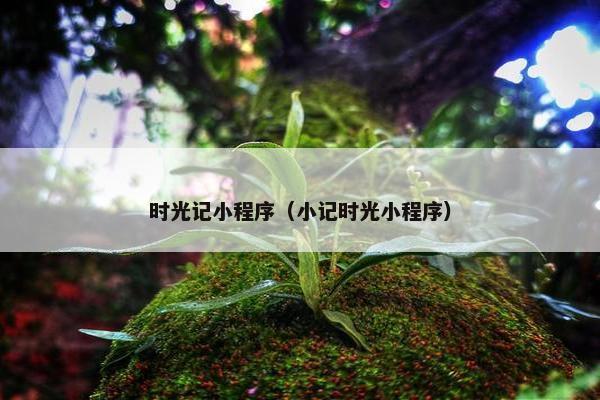 时光记小程序(小记时光小程序) 时光记小程序(小记时光小程序)