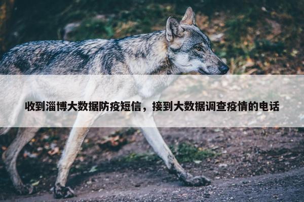 收到淄博大数据防疫短信，接到大数据调查疫情的电话