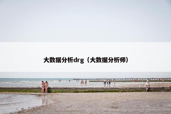 大数据分析drg（大数据分析师）