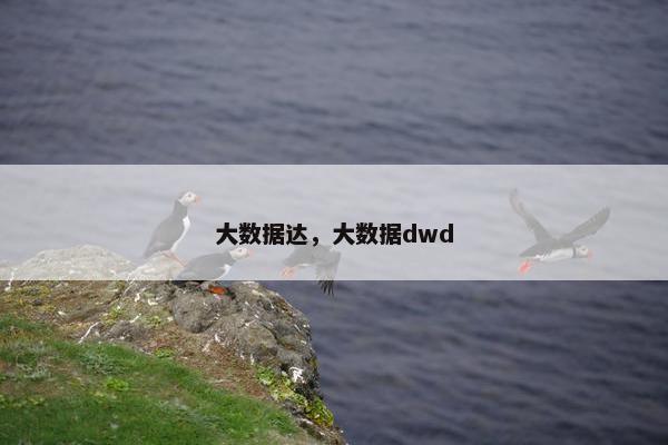 大数据达，大数据dwd