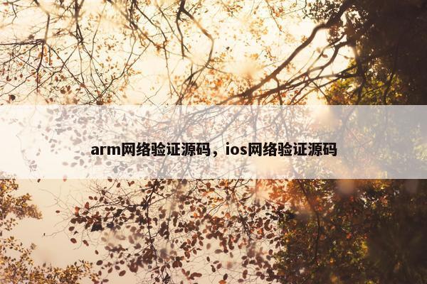 arm网络验证源码，ios网络验证源码