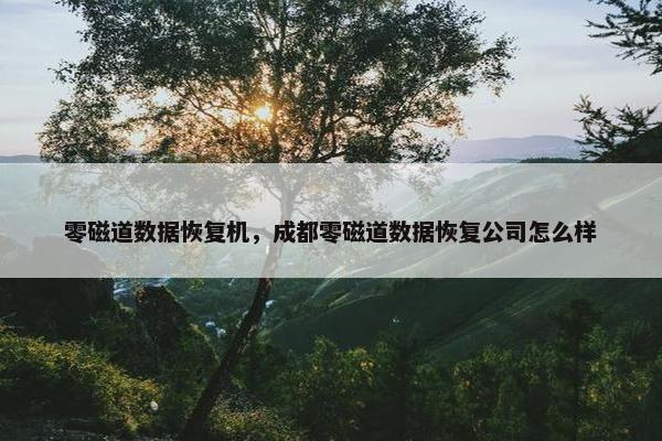 零磁道数据恢复机，成都零磁道数据恢复公司怎么样