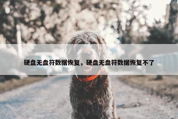 硬盘无盘符数据恢复，硬盘无盘符数据恢复不了