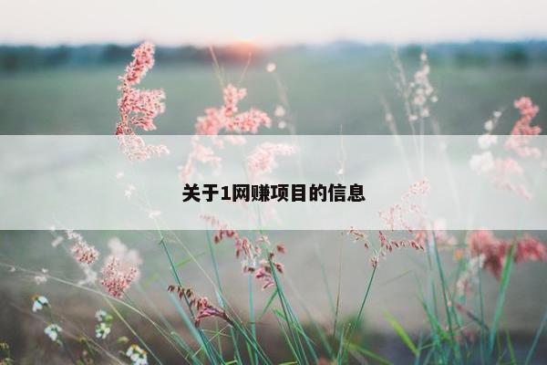 关于1网赚项目的信息