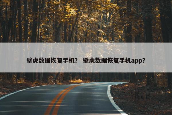 壁虎数据恢复手机？ 壁虎数据恢复手机app？