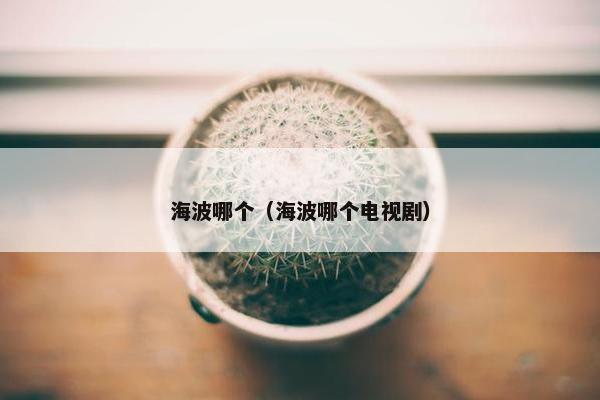 海波哪个（海波哪个电视剧）