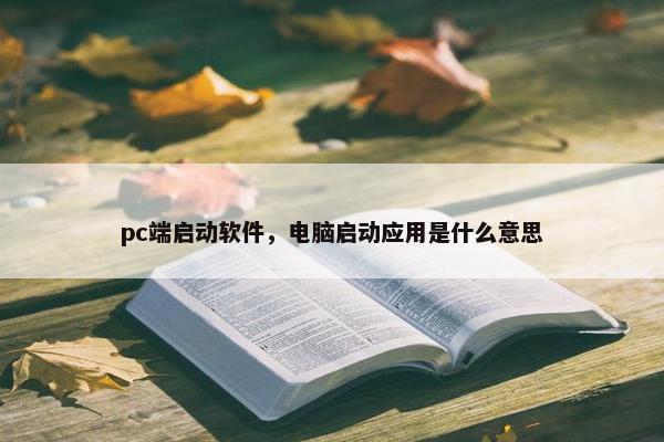 pc端启动软件，电脑启动应用是什么意思