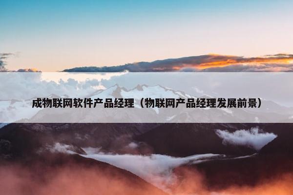 成物联网软件产品经理（物联网产品经理发展前景）