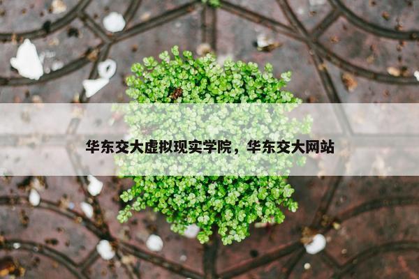 华东交大虚拟现实学院，华东交大网站
