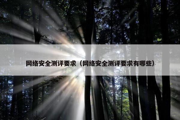 网络安全测评要求（网络安全测评要求有哪些）
