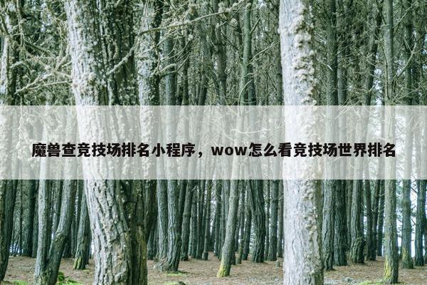 魔兽查竞技场排名小程序，wow怎么看竞技场世界排名