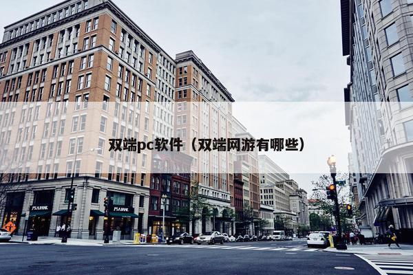 双端pc软件（双端网游有哪些）