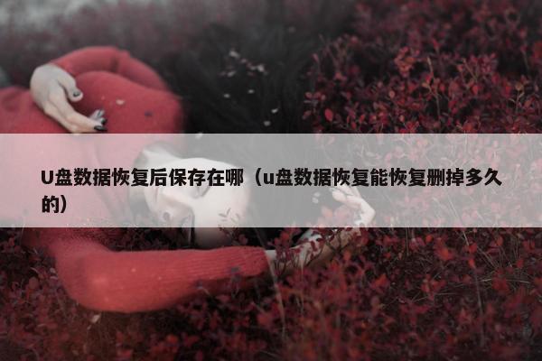 U盘数据恢复后保存在哪（u盘数据恢复能恢复删掉多久的）