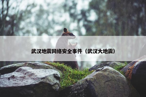 武汉地震网络安全事件（武汉大地震）
