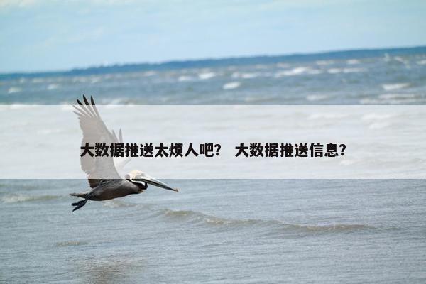 大数据推送太烦人吧？ 大数据推送信息？