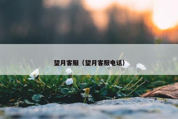 望月客服（望月客服电话）