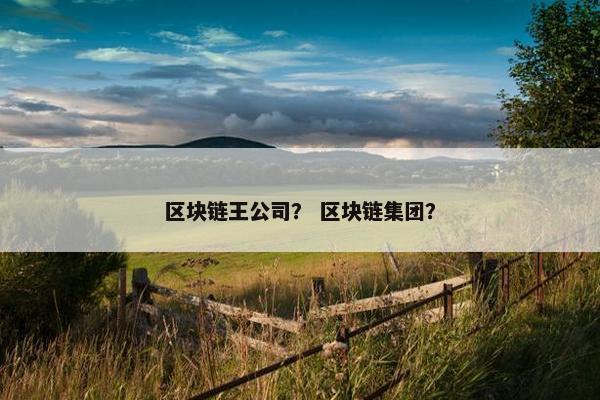 区块链王公司？ 区块链集团？