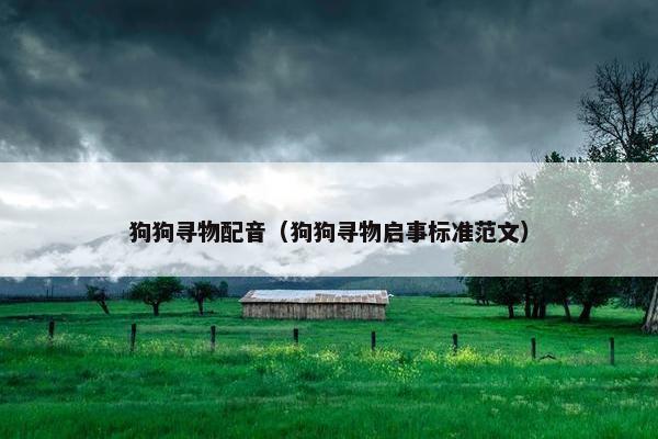 狗狗寻物配音（狗狗寻物启事标准范文）
