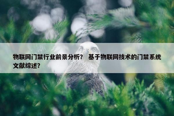 物联网门禁行业前景分析？ 基于物联网技术的门禁系统文献综述？