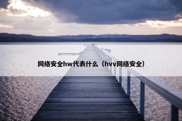 网络安全hw代表什么（hvv网络安全）