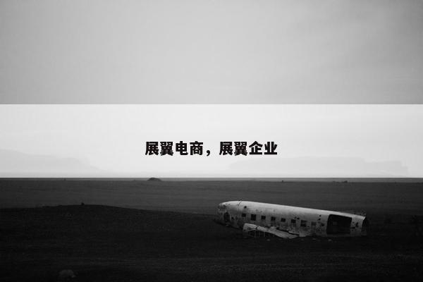 展翼电商，展翼企业