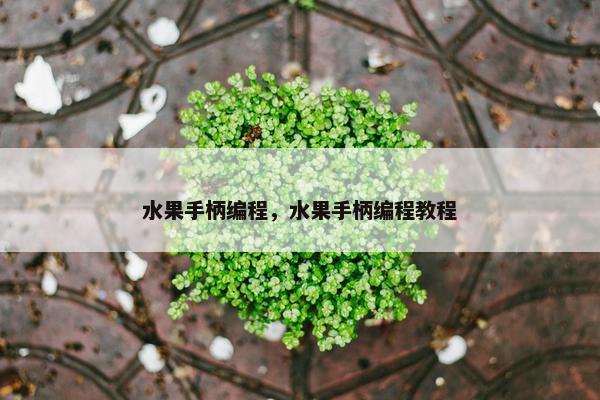 水果手柄编程，水果手柄编程教程