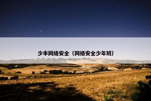 少丰网络安全（网络安全少年班）
