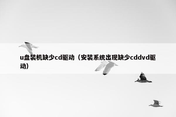 u盘装机缺少cd驱动（安装系统出现缺少cddvd驱动）