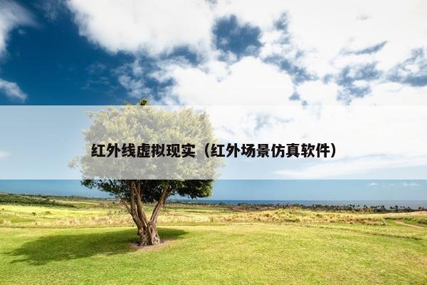 红外线虚拟现实（红外场景仿真软件）