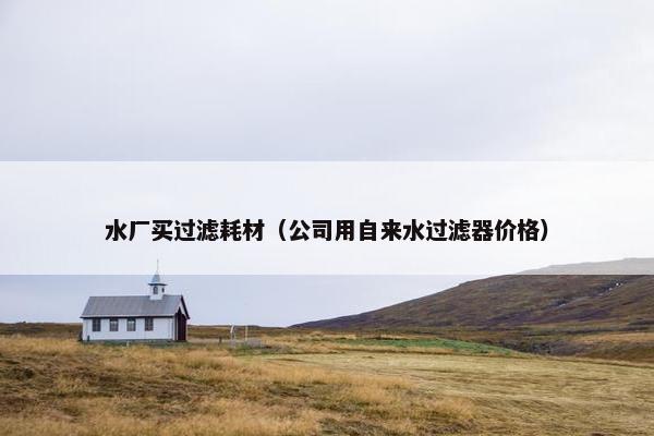 水厂买过滤耗材（公司用自来水过滤器价格）