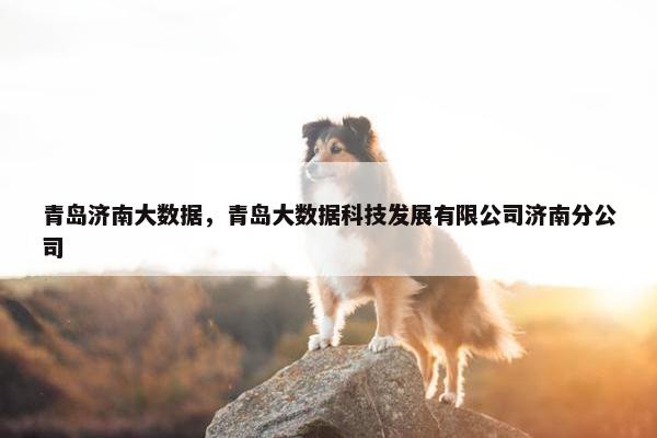 青岛济南大数据，青岛大数据科技发展有限公司济南分公司
