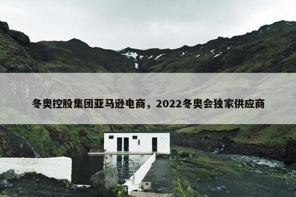 冬奥控股集团亚马逊电商，2022冬奥会独家供应商