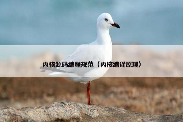 内核源码编程规范（内核编译原理）