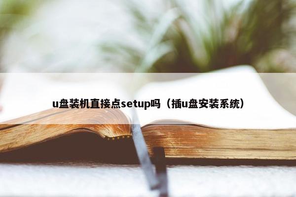 u盘装机直接点setup吗（插u盘安装系统）