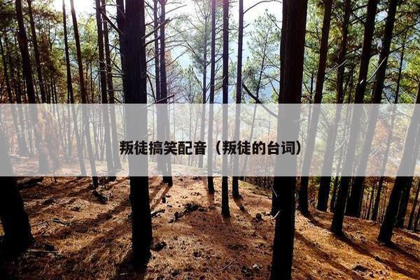 叛徒搞笑配音（叛徒的台词）