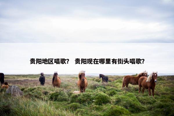 贵阳地区唱歌？ 贵阳现在哪里有街头唱歌？